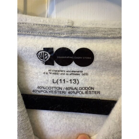 Looney Tunes Cartoon Central Perk Graphic Grey Hoodie - Size L (11-13) - Picture 3 of 8